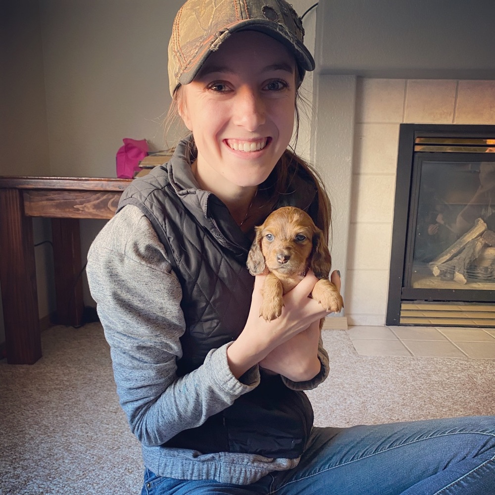 Meet your Posher, Holly